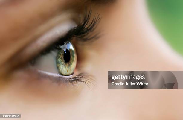 close up of woman's eye - groene ogen stockfoto's en -beelden