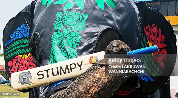 Elephant Rabbit Bat Elephant Bat Photos and Premium High Res Pictures - Getty Images