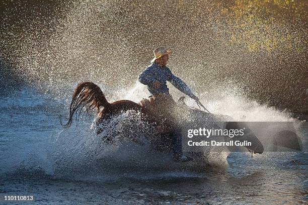 cowboy and horse into the water - horse running water stock pictures, royalty-free photos & images