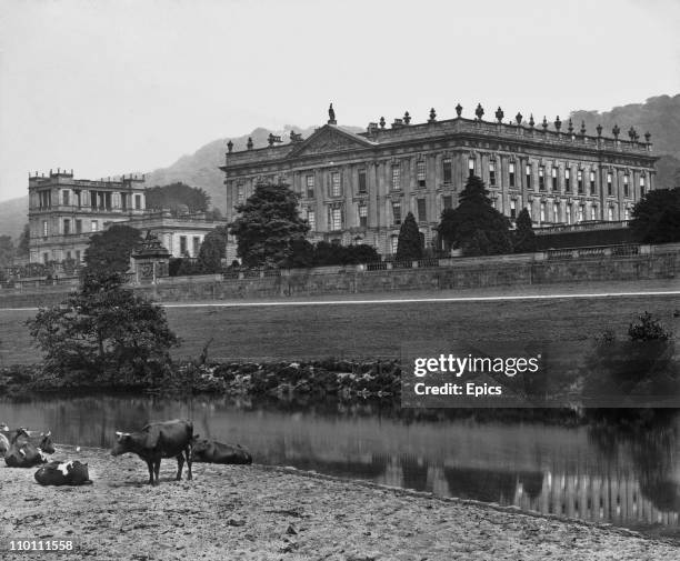 Cows graze in view of Chatsworth House stately home, Derbyshire, England, circa 1900.