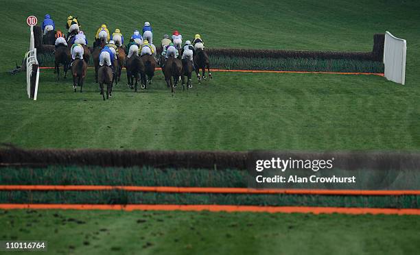 Runners take a the water jump in The Stewart Family Spinal Research Handicap ChaseÊ at Cheltenham racecourse on Centenary Day, March 15, 2011 in...