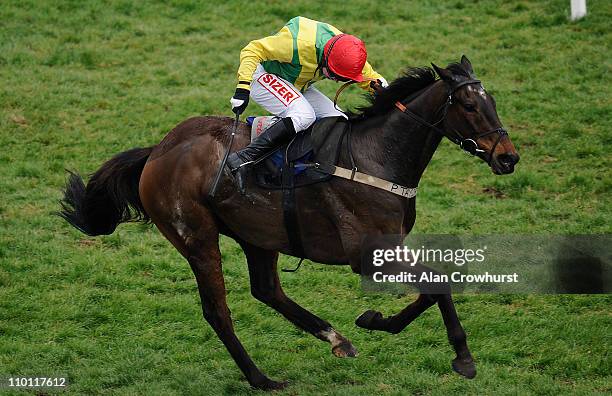 Andrew Lynch riding Sizing Australia winThe Glenfarclas Handicap Chase at Cheltenham racecourse on Centenary Day, March 15, 2011 in Cheltenham,...