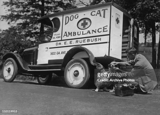 Veterinary surgeon EE Ruebush attends to an injured dog owned by Albert Edward Holland , Washington DC, circa 1925. Ruebush operates an ambulance...