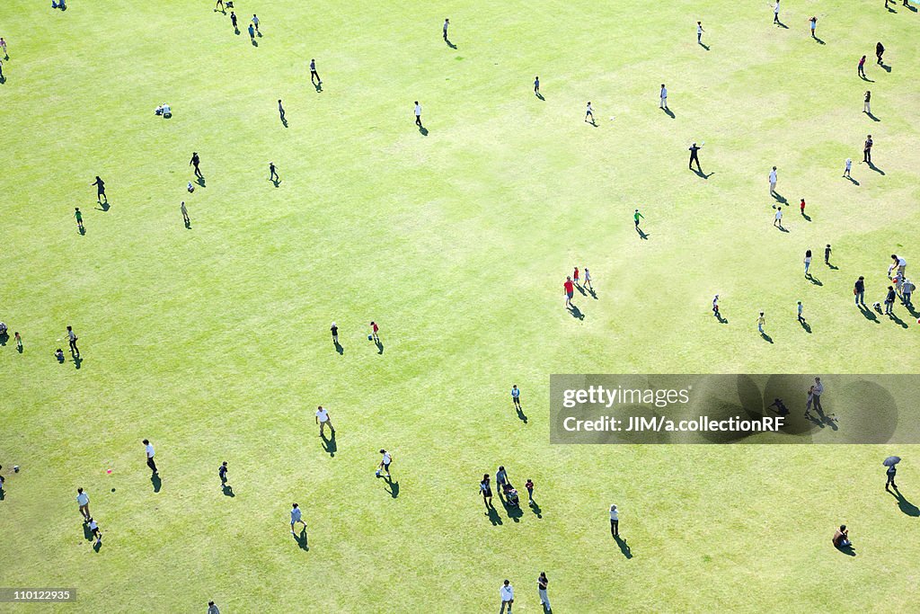 Aerial View of People in Lawn