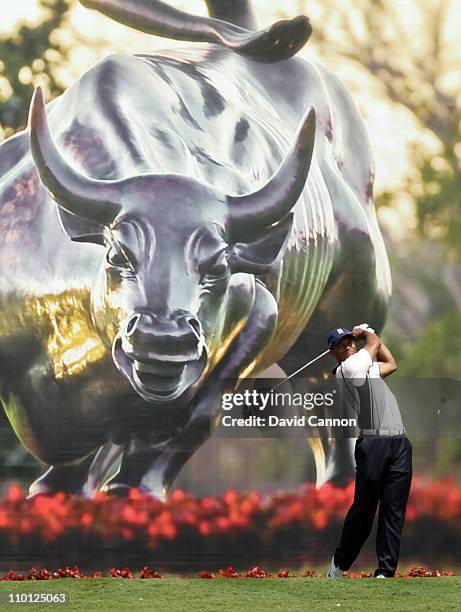 Tiger Woods of the USA drives from the 7th tee during the second day of the 2011 Tavistock Cup at Isleworth Golf and Country Club on March 15, 2011...