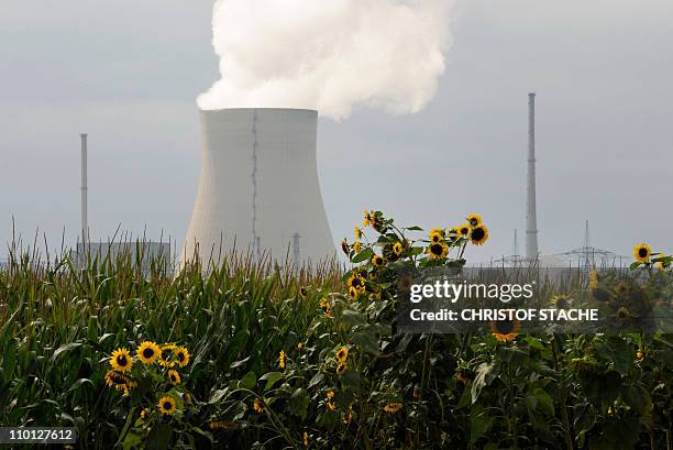 View taken on September 8, 2010 shows the nuclear power station Isar in Markt Essenbach, near Landshut, southern Germany, run by energy supplier...