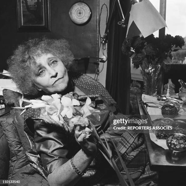 Shell Colette Colette Photos and Premium High Res Pictures - Getty Images