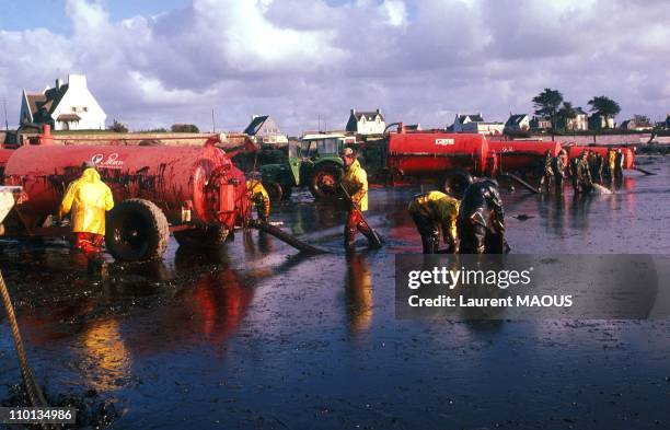 Clean beaches Portsall after the sinking of the "amoco cadiz" in France in March 1978