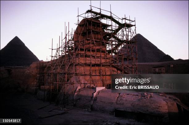 The scaffolding around the sphinx often takes on a super-natural dimension, worthy of the "prisons" of Piranese in Cairo, Egypt on May 01, 1990.