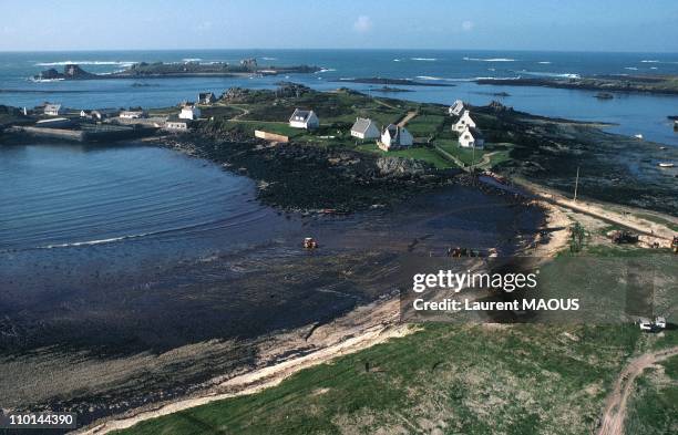 Oil-covered coast due to the sinking of the Amoco Cadiz in Portsall, France in March, 1978.