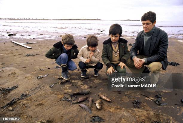 Father with his children looking at oil-soaked and dead fishes due to the sinking of the Amoco Cadiz in Portsall, France in March, 1978.