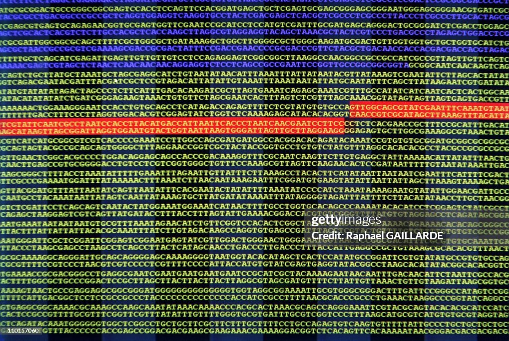 Craigh Venter Decipher The Human Genome In Rockville, United States In June, 2000.
