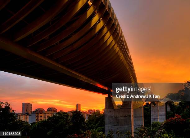 henderson wave at sunset - henderson waves bridge stock pictures, royalty-free photos & images