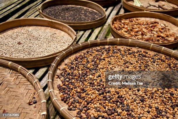 drying raw coffee beans at plantation farm in bali - coffee variation stock pictures, royalty-free photos & images