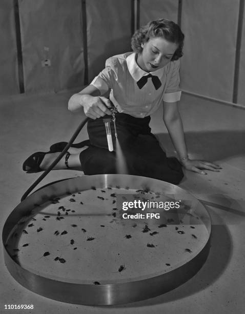 Entomological laboratory assistant Ellen Hill testing the effectiveness of an experimental cockroach killing formula in 1949.