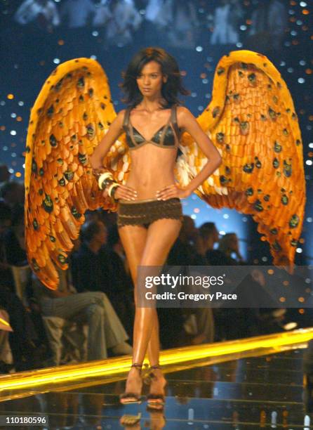 Liya Kebede during The 8th Annual Victoria's Secret Fashion Show - Runway at Lexington Avenue Armory in New York City, New York, United States.