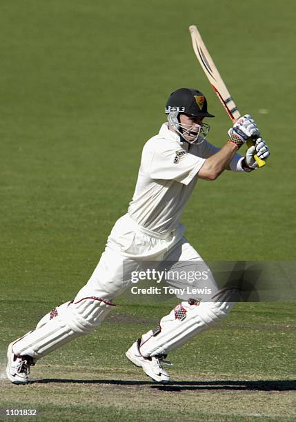 Tasmanian captain Jamie Cox drives Mark Harrity on his way to 144 not out in the Pura Cup match between South Australia and Tasmania played at...