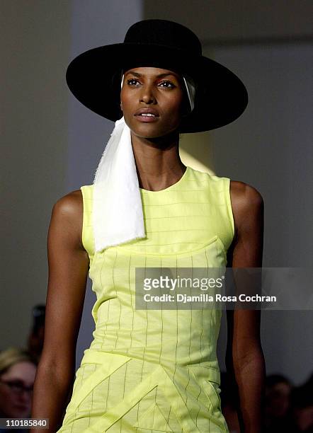 Model wearing Alice Roi Spring 2004 during Mercedes-Benz Fashion Week Spring 2004 - Alice Roi - Runway at Maurice Villency Studio in New York City,...