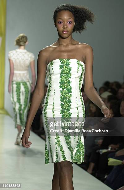 Gerren Taylor wearing Tracy Reese Spring 2004 during Mercedes-Benz Fashion Week Spring 2004 - Tracy Reese - Runway at Bryant Park in New York City,...