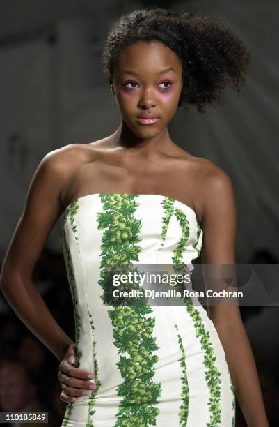 Gerren Taylor wearing Tracy Reese Spring 2004 during Mercedes-Benz Fashion Week Spring 2004 - Tracy Reese - Runway at Bryant Park in New York City,...