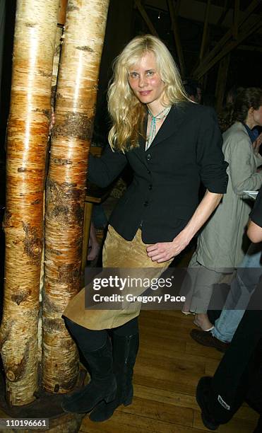 Lori Singer during 3rd Annual Tribeca Film Festival - Showtime Party at Nobu in New York City, New York, United States.