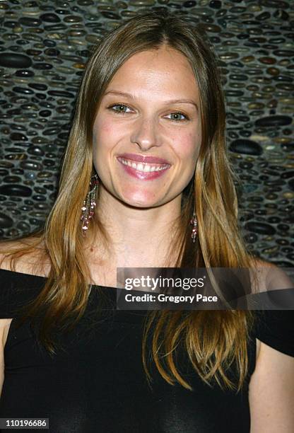 Vinessa Shaw during 3rd Annual Tribeca Film Festival - Showtime Party at Nobu in New York City, New York, United States.