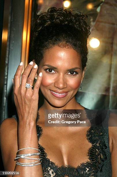 Halle Berry during Warner Bros. Consumer Products and Henri Bendel Host Purr-fect "Catwoman" at Henri Bendel in New York City, New York, United...