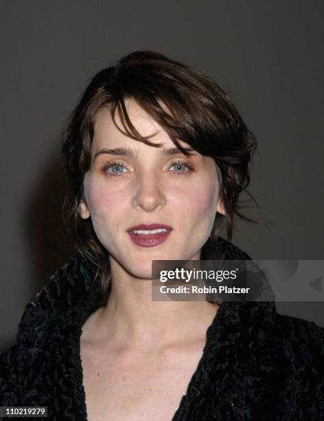 Michele Hicks during "A Work in Progress: An Evening with Marc Forster" - Arrivals at The Museum of Modern Art in New York City, New York, United...
