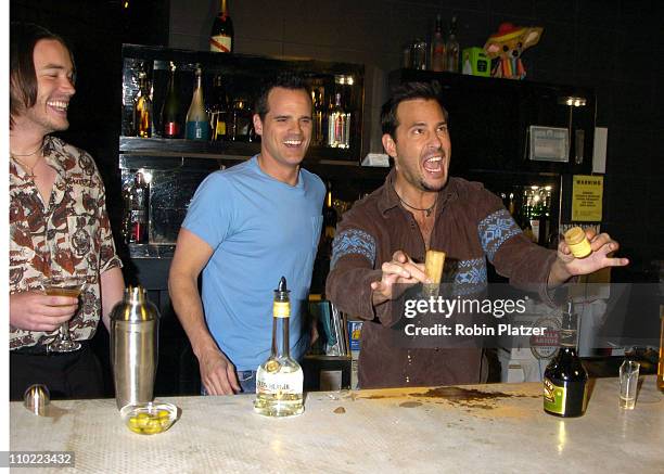 Tom Pelphrey, Michael Park and Ricky Paull Goldin during Party for The Hot Men of CBS Guiding Light and As The World Turns which was filmed for David...