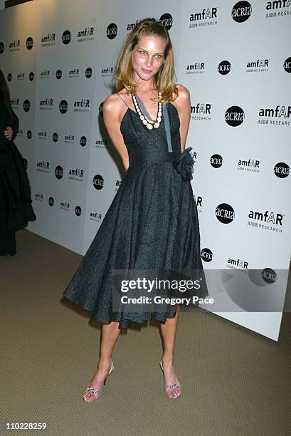 Erin Wasson during amfAR and ACRIA Honor Herb Ritts with a Sale of Contemporary Artwork - Inside Arrivals at Sothebys in New York City, New York,...