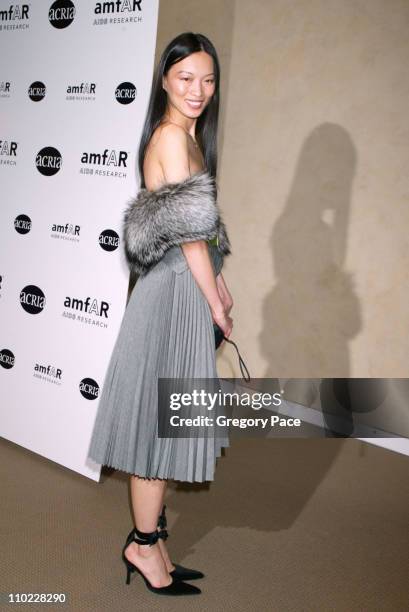 Ling Tan during amfAR and ACRIA Honor Herb Ritts with a Sale of Contemporary Artwork - Inside Arrivals at Sothebys in New York City, New York, United...