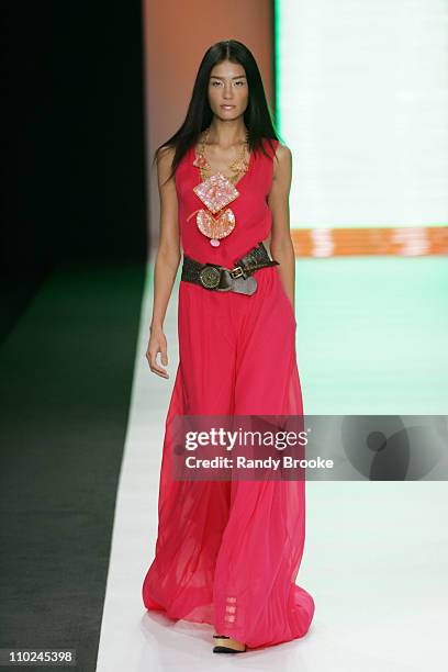 Model wearing Walter Rodrigues Spring/Summer 2006 during Rio Fashion Week Spring/Summer 2006 - Walter Rodrigues - Runway at MAM in Rio de Janiero,...