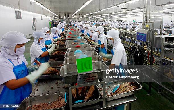 Tuna Process Tuna Factory Photos and Premium High Res Pictures - Getty Images
