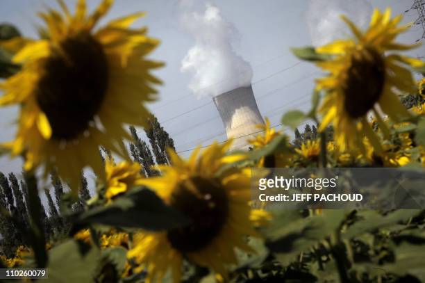 Reactor's cooling towers are seen at the Tricastin nuclear power plant, on August 27, 2008 in Bollene. Vue d'une cheminée de la centrale nucléaire du...