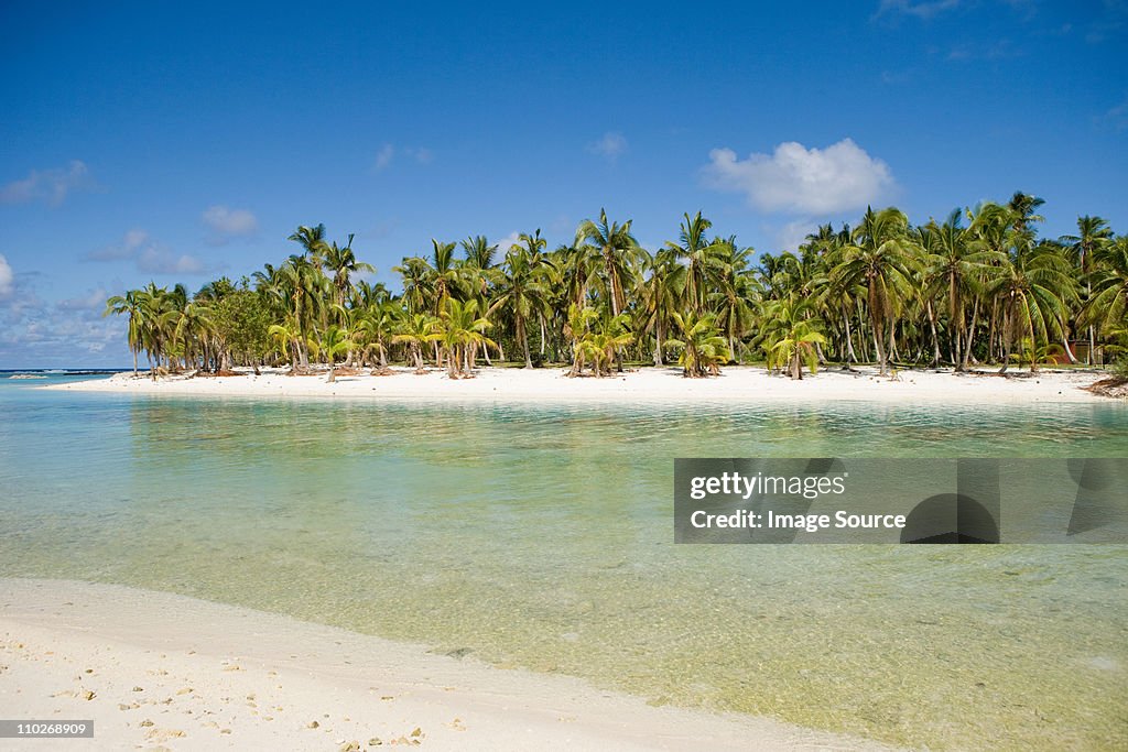 Playa con palmeras