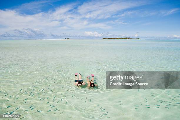 mid adult couple snorkeling and looking at fish - cook islands stock pictures, royalty-free photos & images