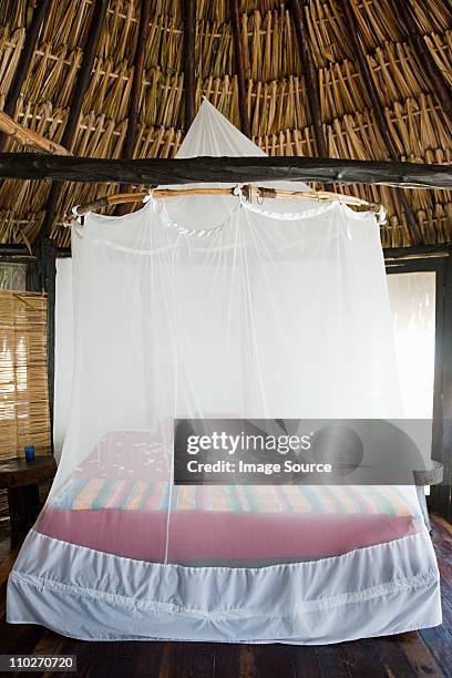 hotel room in beach hut - mosquito netting stock pictures, royalty-free photos & images