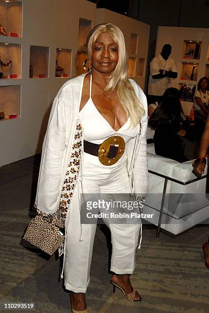 Janice Combs during Olympus Fashion Week Spring 2007 - Baby Phat - Front Row and Backstage at The Tent, Bryant Park in New York City, New York,...