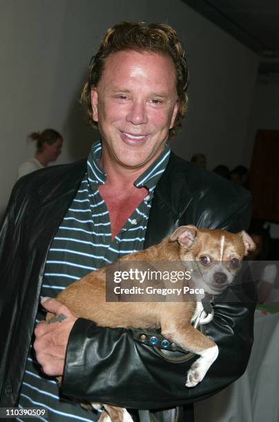 Gregory Rourke Gregory Phillips Photos and Premium High Res Pictures - Getty Images