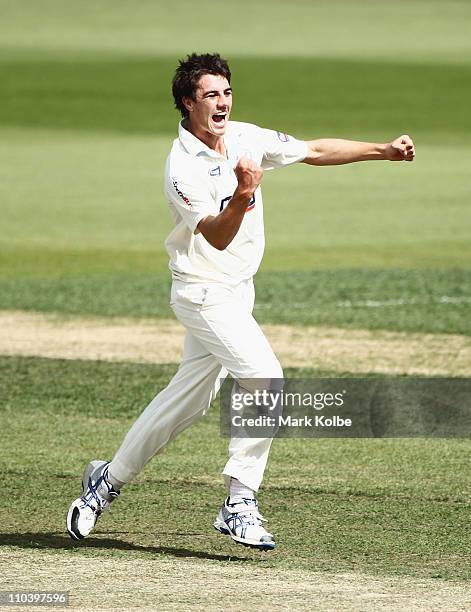 Patrick Cummins of the Blues celebrates the wicket of Nick Kruger of the Tigers during day two of the Sheffield Shield final match between the...