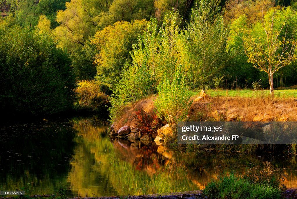 Country landscape in Provence during autumn
