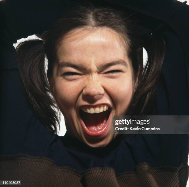 Icelandic singer and songwriter Bjork, June 1993.