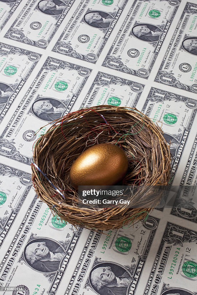 Golden egg in nest on dollars bills