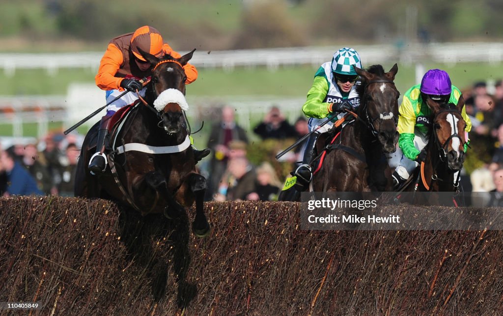 Cheltenham Festival - Gold Cup Day