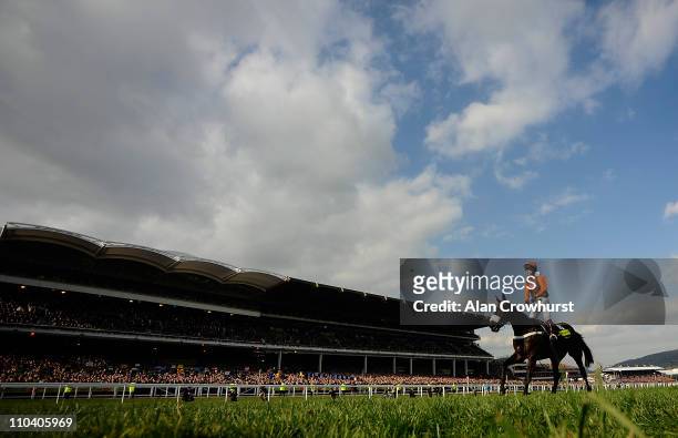 Sam Waley-Cohen riding Long Run wins the totesport Cheltenham Gold Cup Chase at Cheltenham racecourse on March 18, 2011 in Cheltenham, England