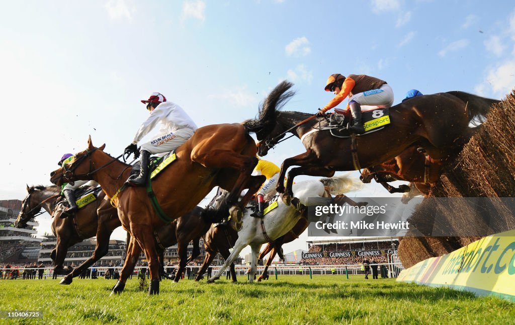 Cheltenham Festival - Gold Cup Day