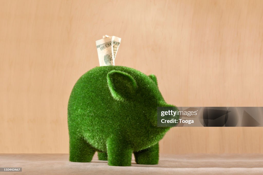 Green moss piggy bank with money in it