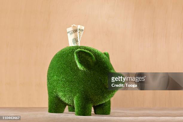 green moss piggy bank with money in it - money donation stock pictures, royalty-free photos & images