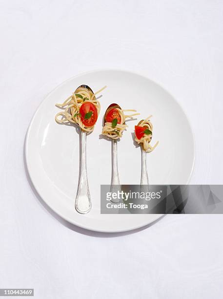 three different serving sizes of dish - portion control stock pictures, royalty-free photos & images