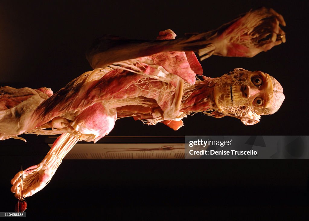 BODIES...THE EXHIBITION - Opening Party - Las Vegas